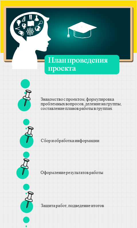 Инфографика Колесова Шуть к проекту.png
