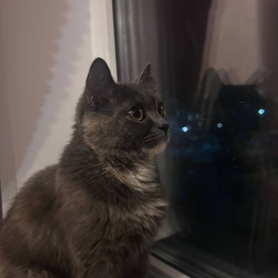 Аштаева Мария.jpg.jpg