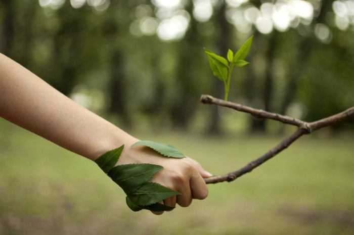 Харламова Заставка 2.jpg