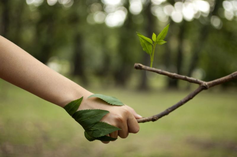 Файл:Харламова Заставка 2.jpg