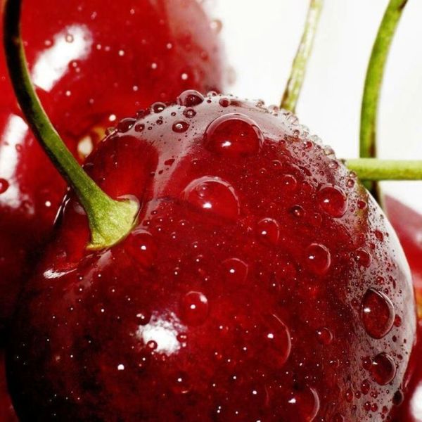 Файл:Дуленкова Валерия.jpg