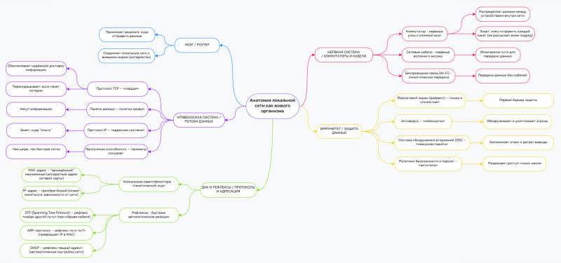 Файл:Анатомия локальной сети.png