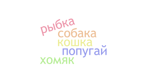 Журавлева Ксения.png