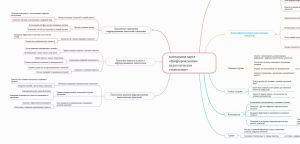 Ментальная карта Маясова Е.Н..jpg