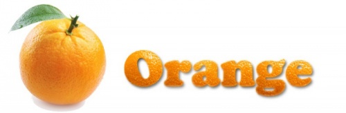 Orange log.jpg