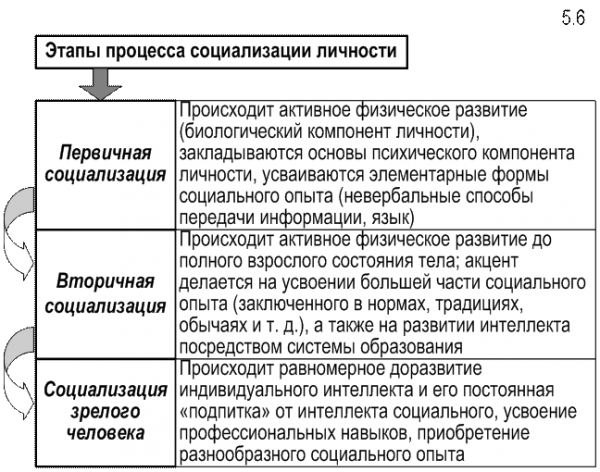 Вы точно человек?