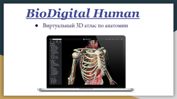 Виртуальный атлас по анатомии
