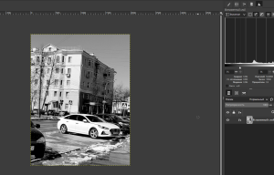 Черно белое.png