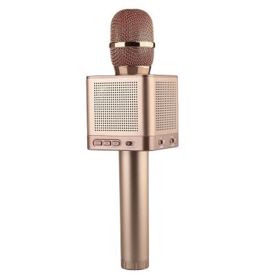 Микрофон для Анастасии Бородавиной.jpg