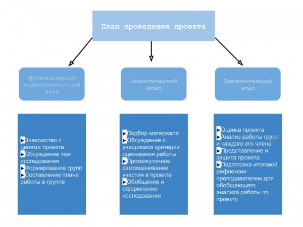 План проведения проекта Целикова1.jpg