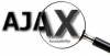 Ajax-accessibility 485.jpg
