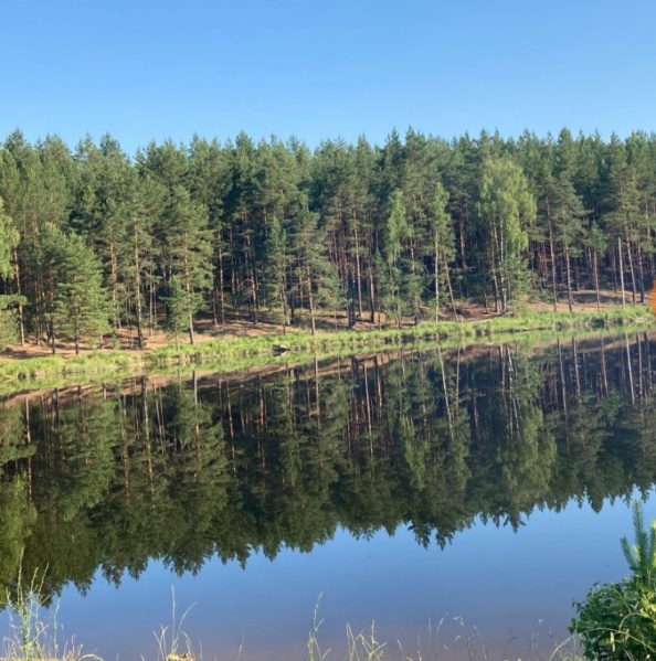 Файл:Касаткина Природа.jpg