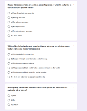 Survey The role of digital media in shaping modern ideas about various professions 2.png