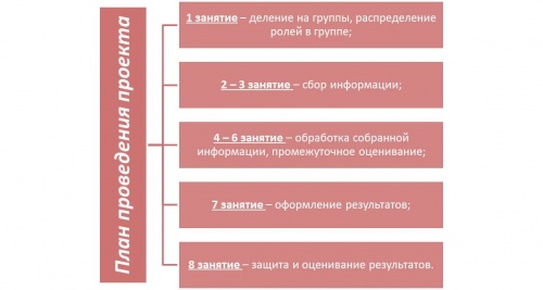 План проведения проекта Новожилова Пирогова.jpg