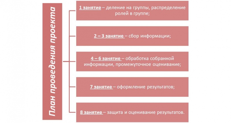 План проведения проекта Новожилова Пирогова.jpg