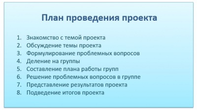 План проведения проекта Вохминцева.jpg