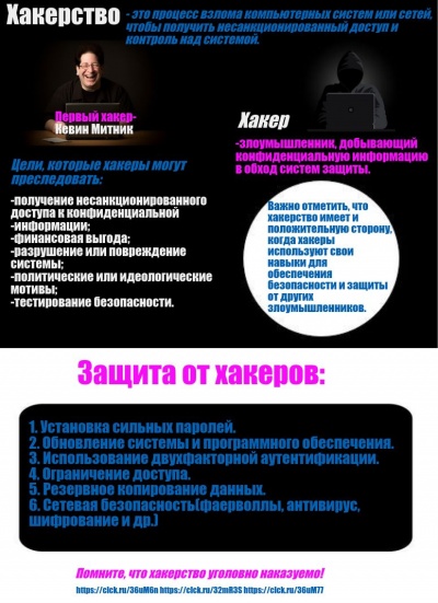 Инфографика Чебыкина.jpg