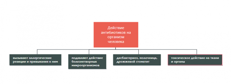 Антибиотики мощное оружие проект