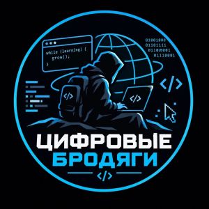 Эмблема Цифровые бандиты МБОУ Школа 100.jpg
