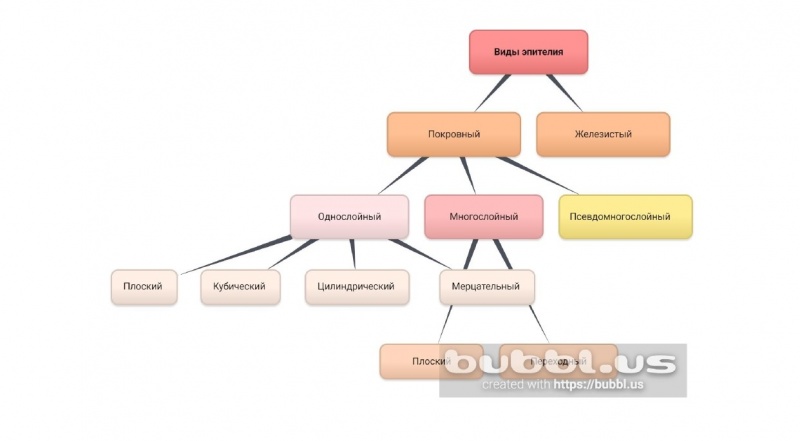 Файл:Кластер виды эпителия.jpg