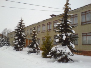 Лукояновская базовая школа