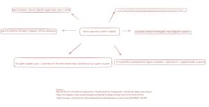 Правила безопасности работы в интернете.jpeg