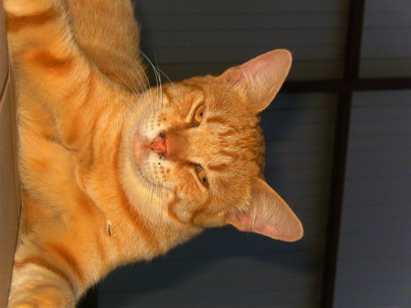 Файл:IMG 20241203 122341 466.JPG