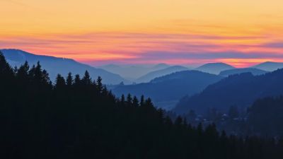 Степанова Софья.jpg