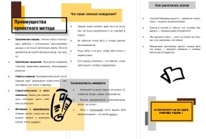 Буклет для учебного проекта2.jpg